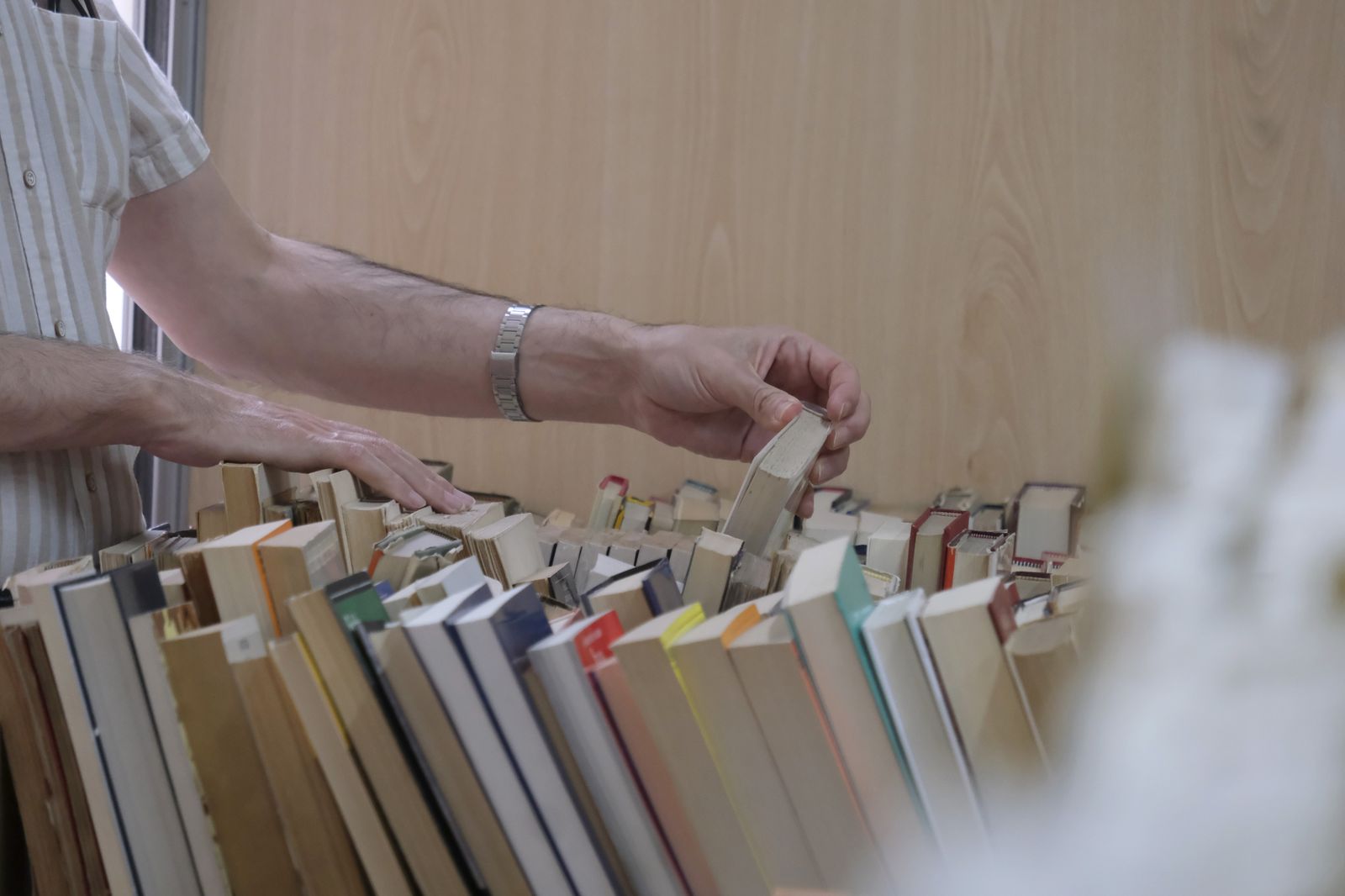 Un rebuscador de libros.