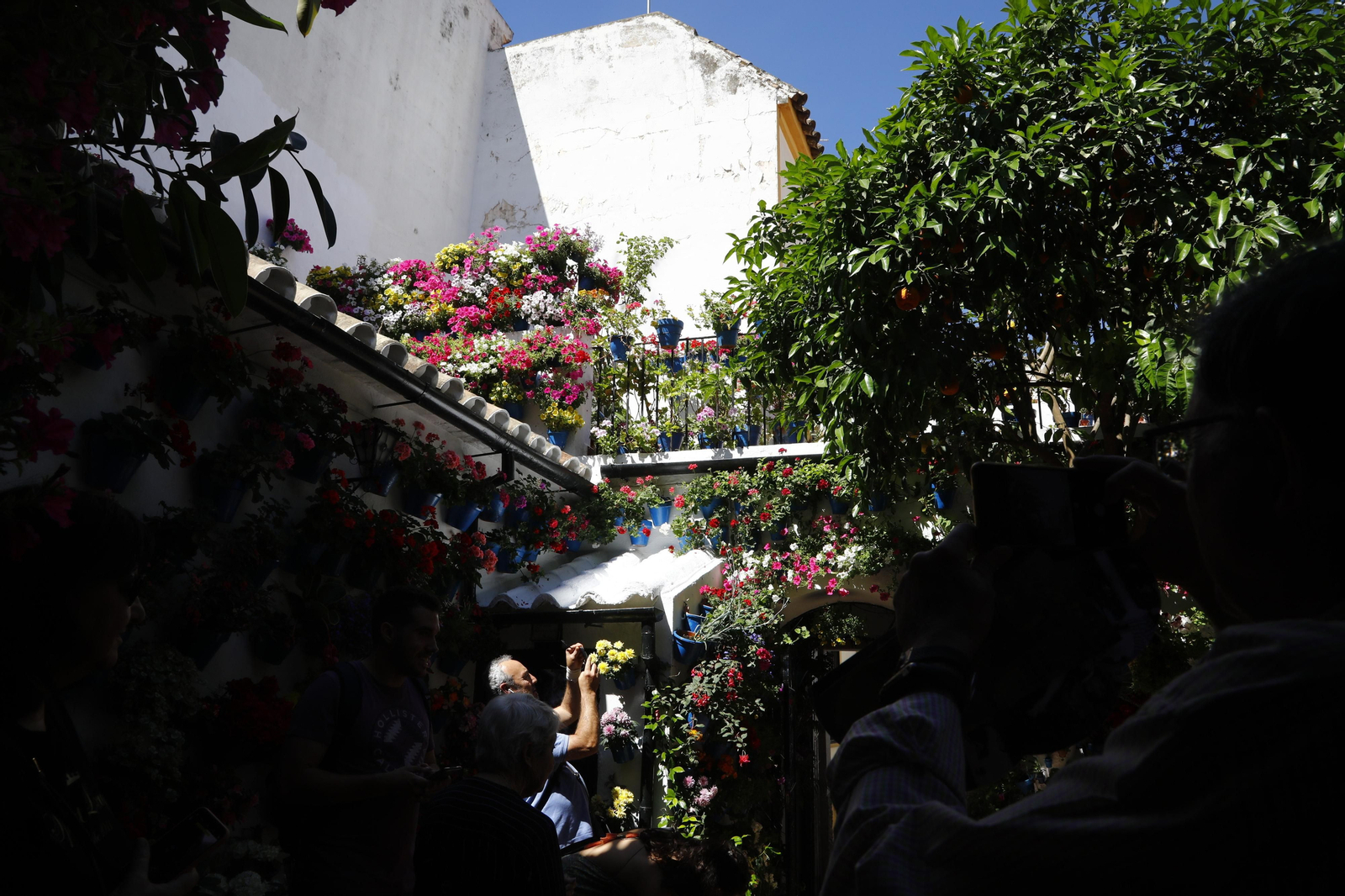 Los Patios de Córdoba se preparan para el fin de semana, en imágenes