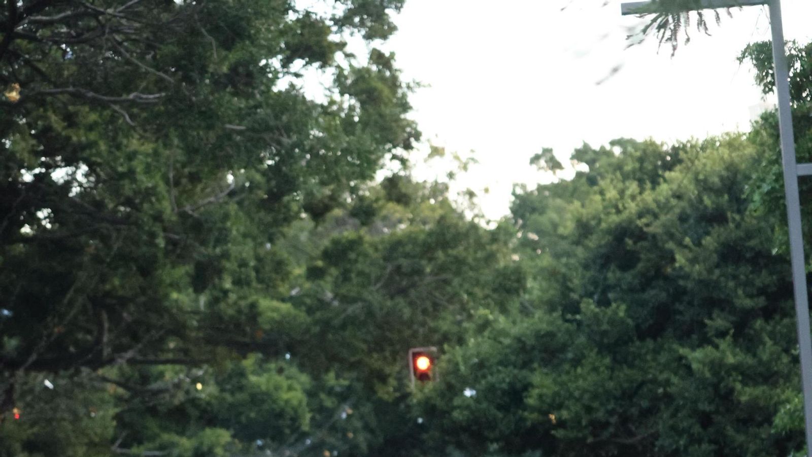 Las mejores fotos de la Maratón de Málaga 2024