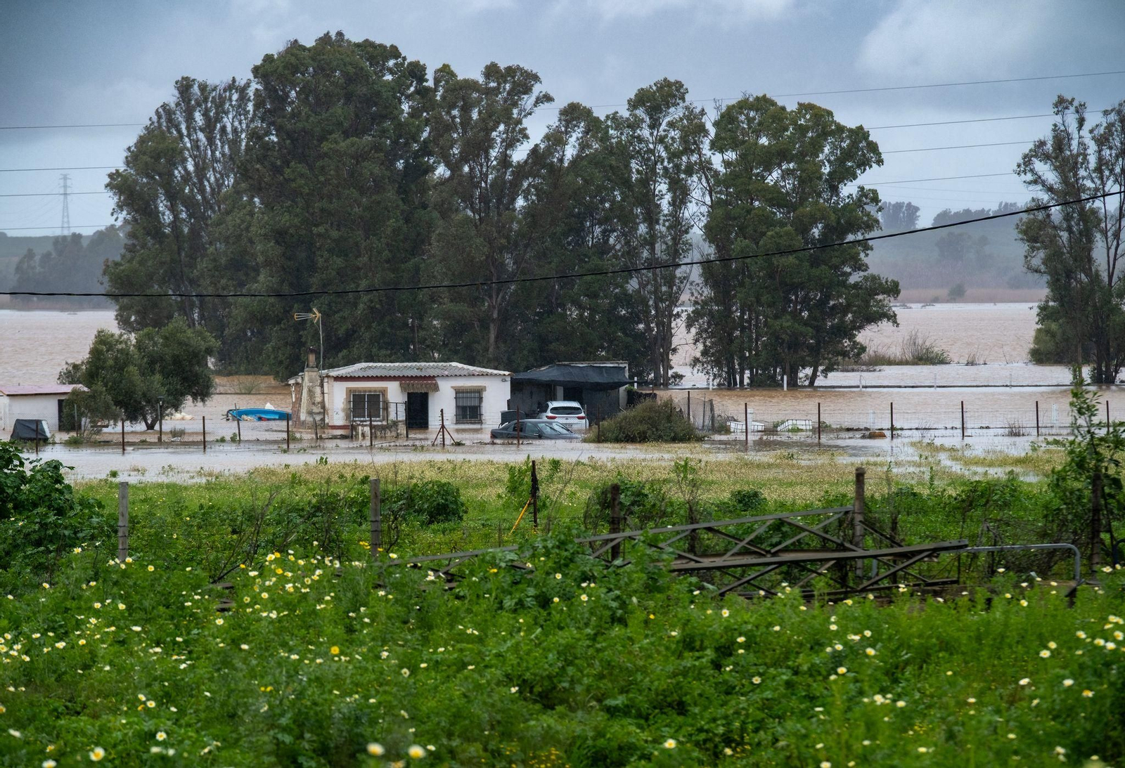 Imágenes de las inundaciones en Gibraleón por la borrasca Laurence este lunes