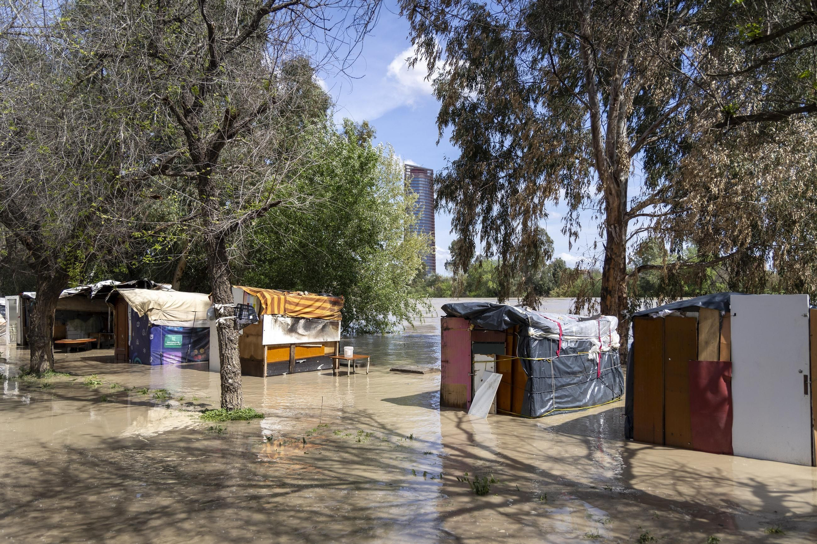 Las imágenes de la inundación del poblado chabolista junto a la orilla del Guadalquivir