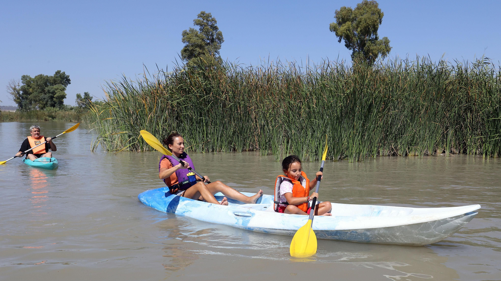 Paseo por el Guadalete en Kayak