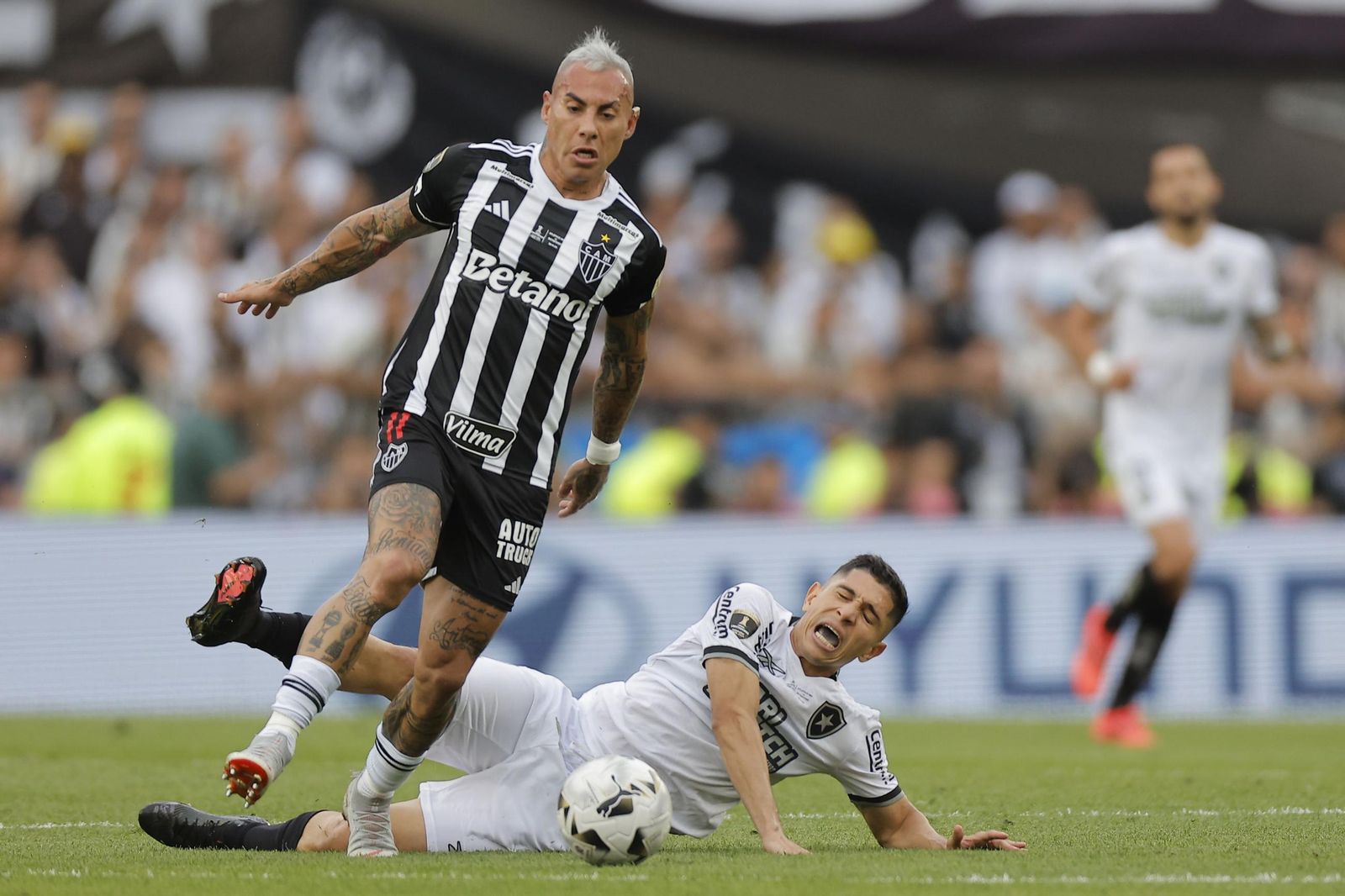 Las fotos de una final de la Libertadores histórica; Botafogo, campeón con 10, ante Atlético Mineiro