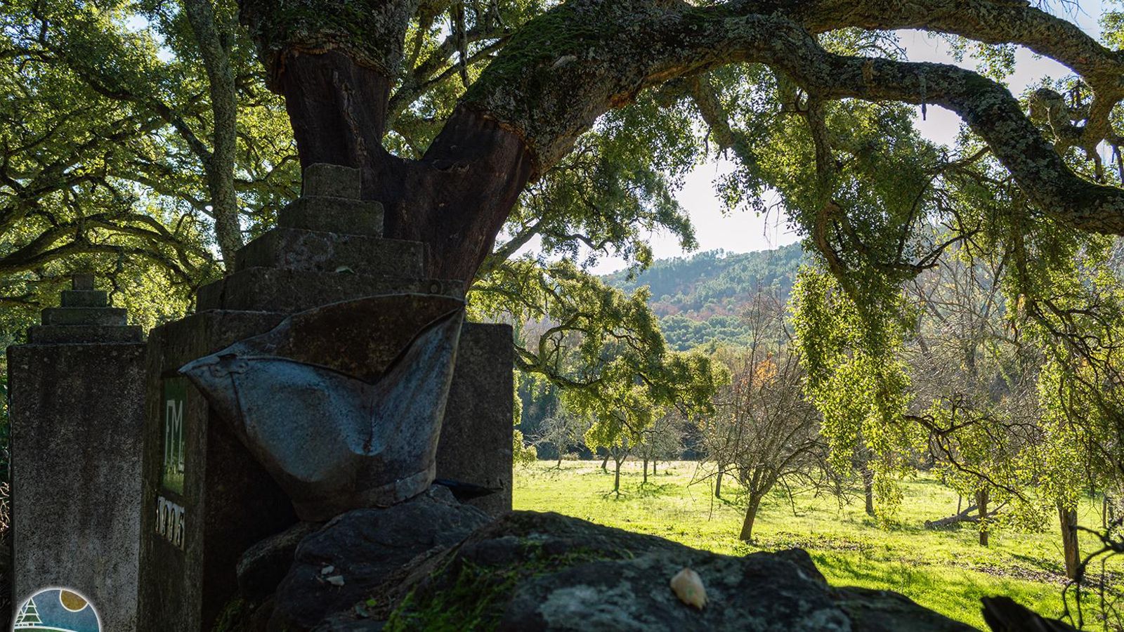 Sendero del Risco de Levante