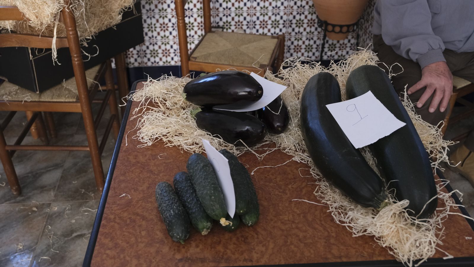 Fotogalería de las Fiestas de San Marcos en Adra.