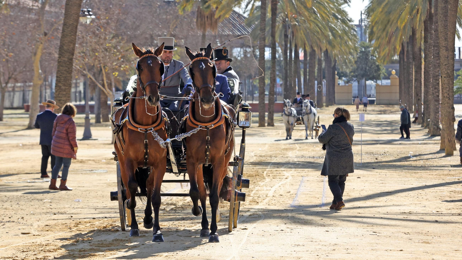 Concurso de enganches por las calles de Jerez