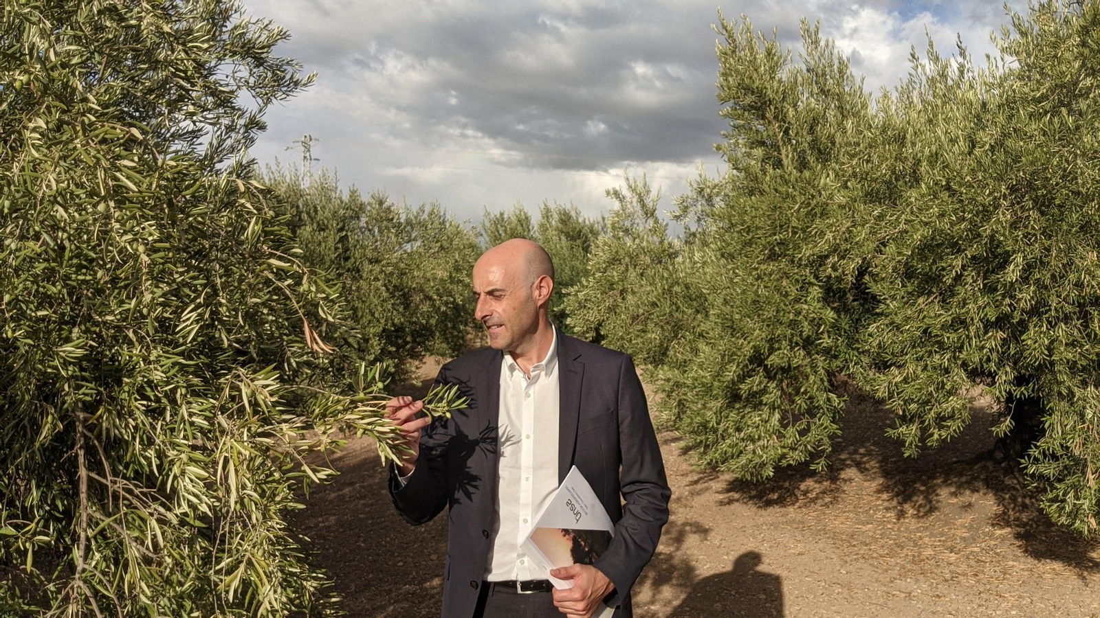 Antonio García Gallego, delegado de Tinsa en Huelva, Sevilla y Córdoba.