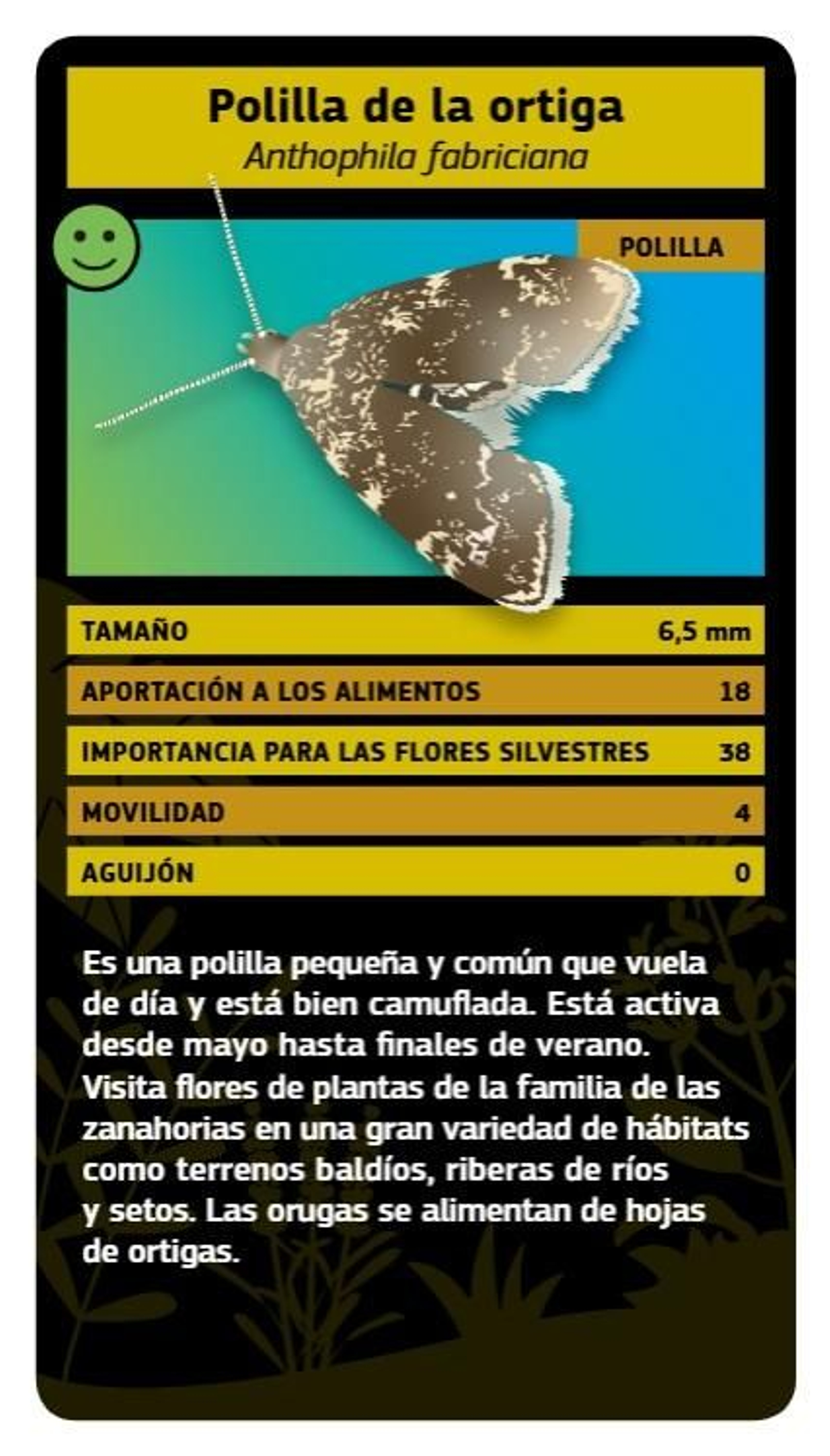 Detalle del juego 'Conoce a tus polinizadores'