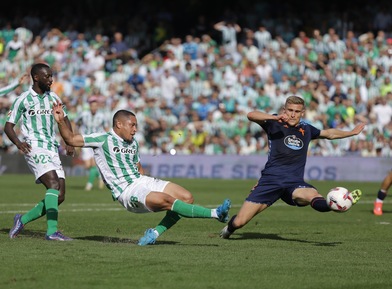 Las fotos del Betis - Celta