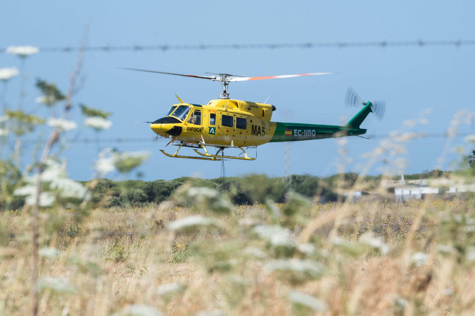 Los efectos del devastador incendio en el paraje monte de La Peña, en imágenes