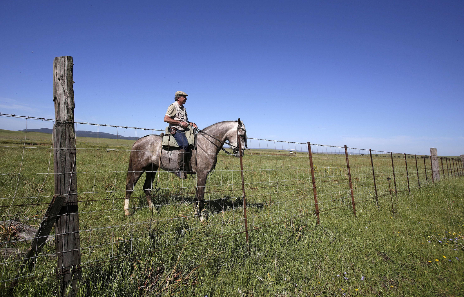 Mas cornadas da el virus, visita a la ganadería de Nuñez La Palmosilla