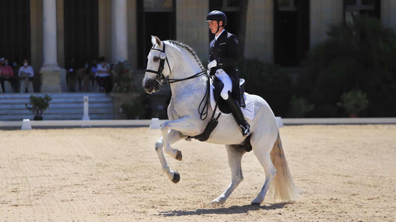 Concurso de Doma Clásica en Real Escuela