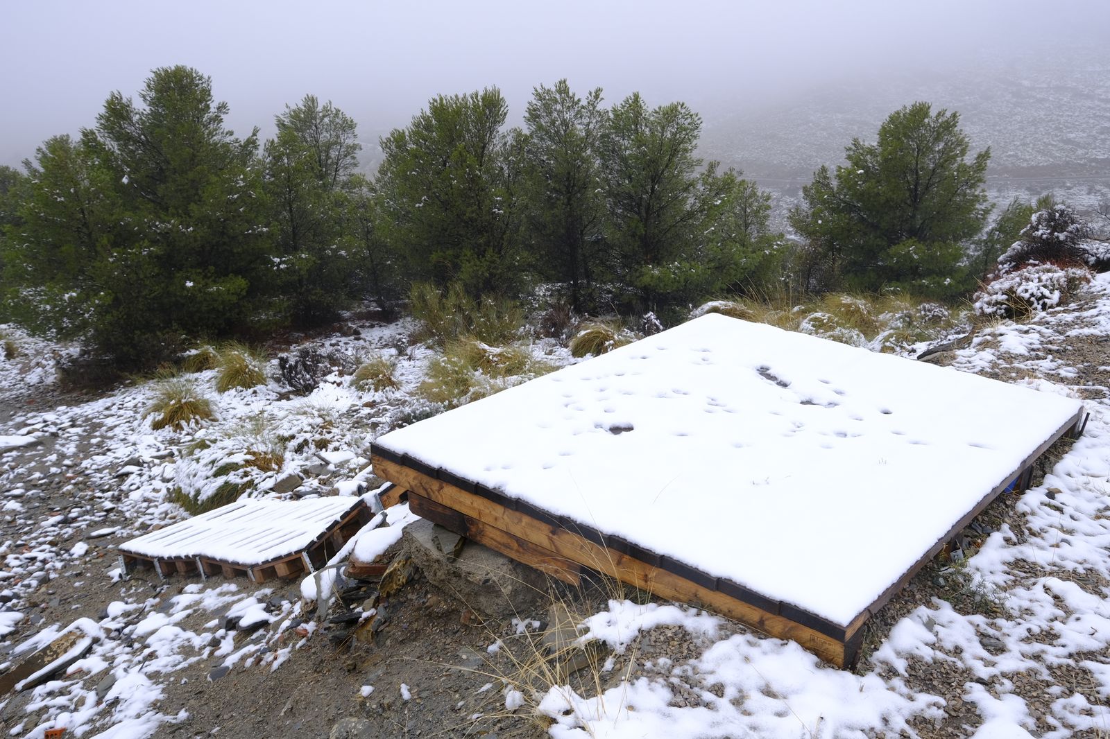 Fotogalería nevada en la Provincia de Almería