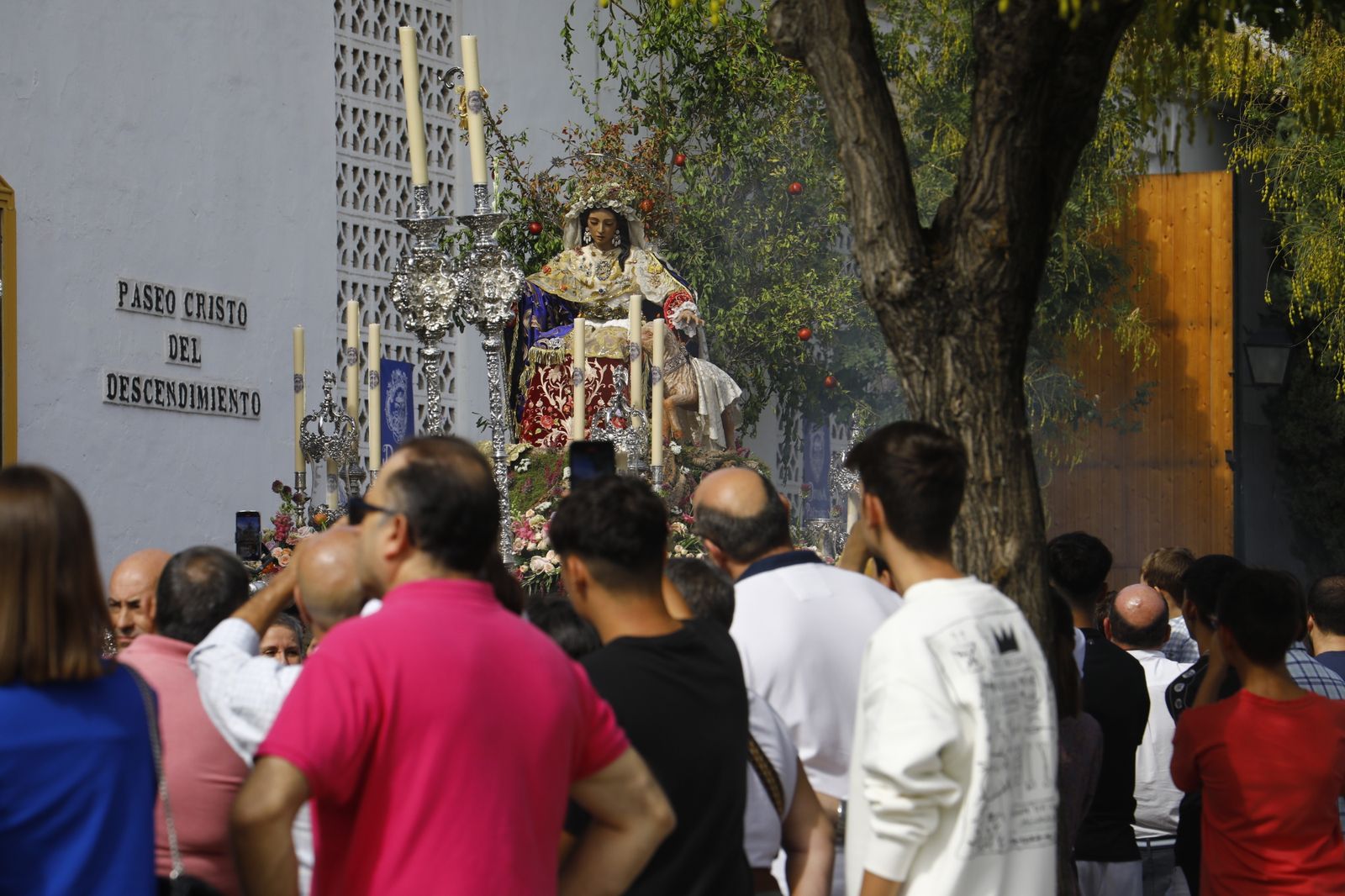 La procesión de la Divina Pastora de las Almas de Córdoba, en imágenes