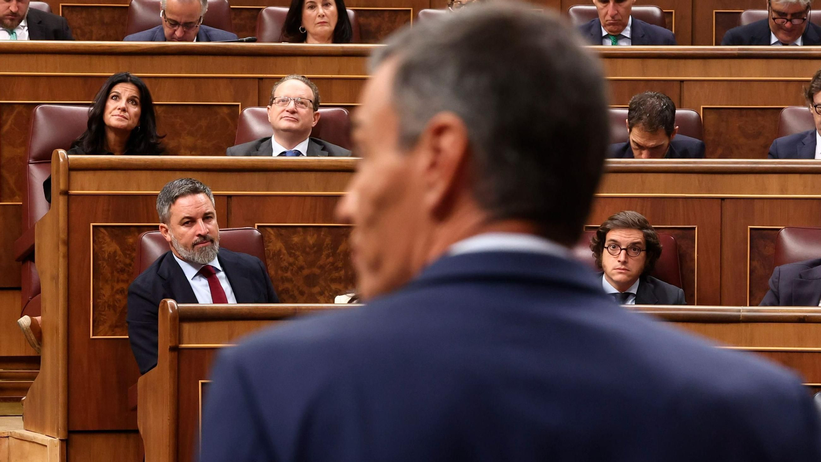 Pedro Sánchez, de espaldas, y Santiago Abascal, en el Congreso de los Diputados.
