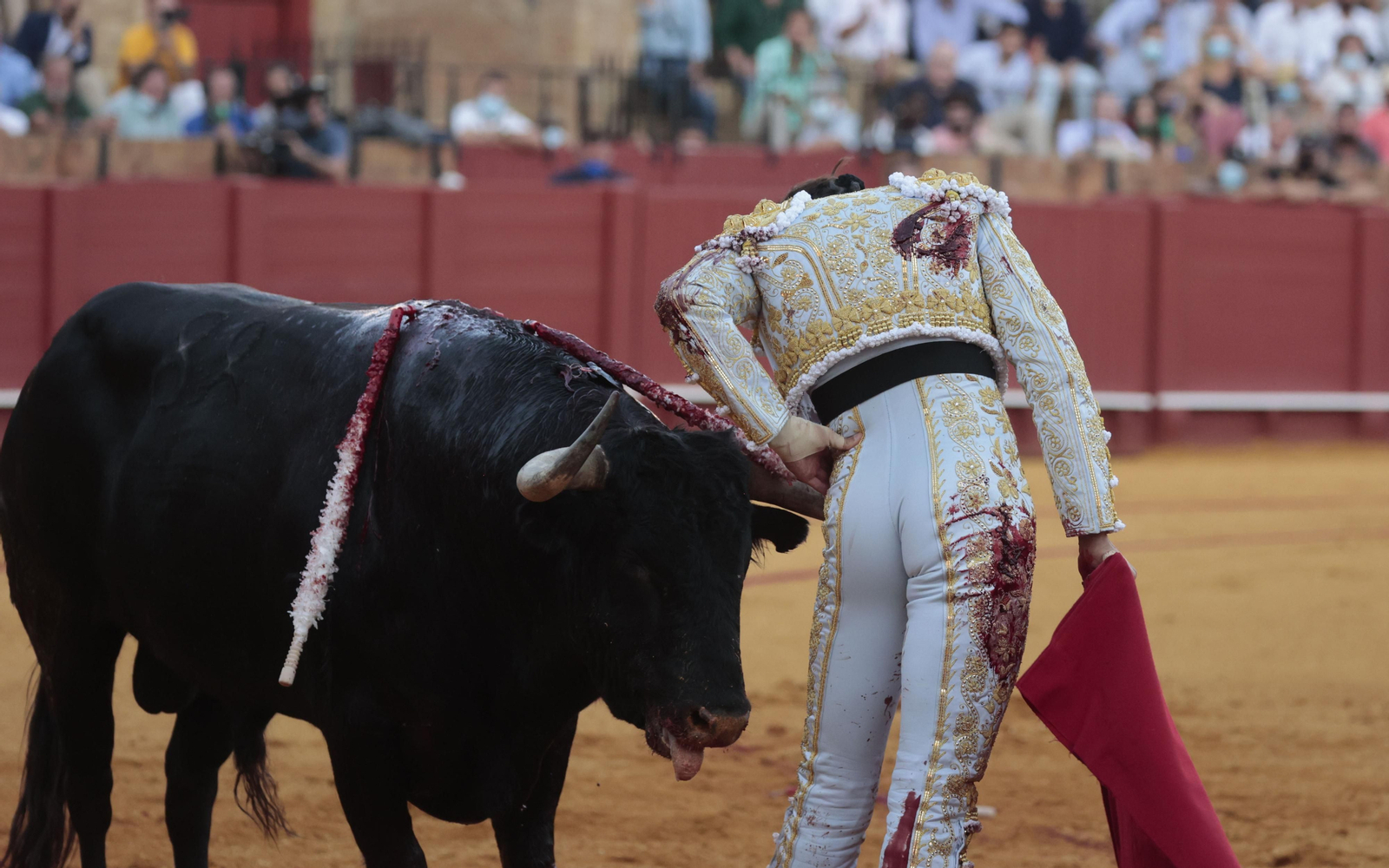 Las imágenes del primer festejo de San Miguel