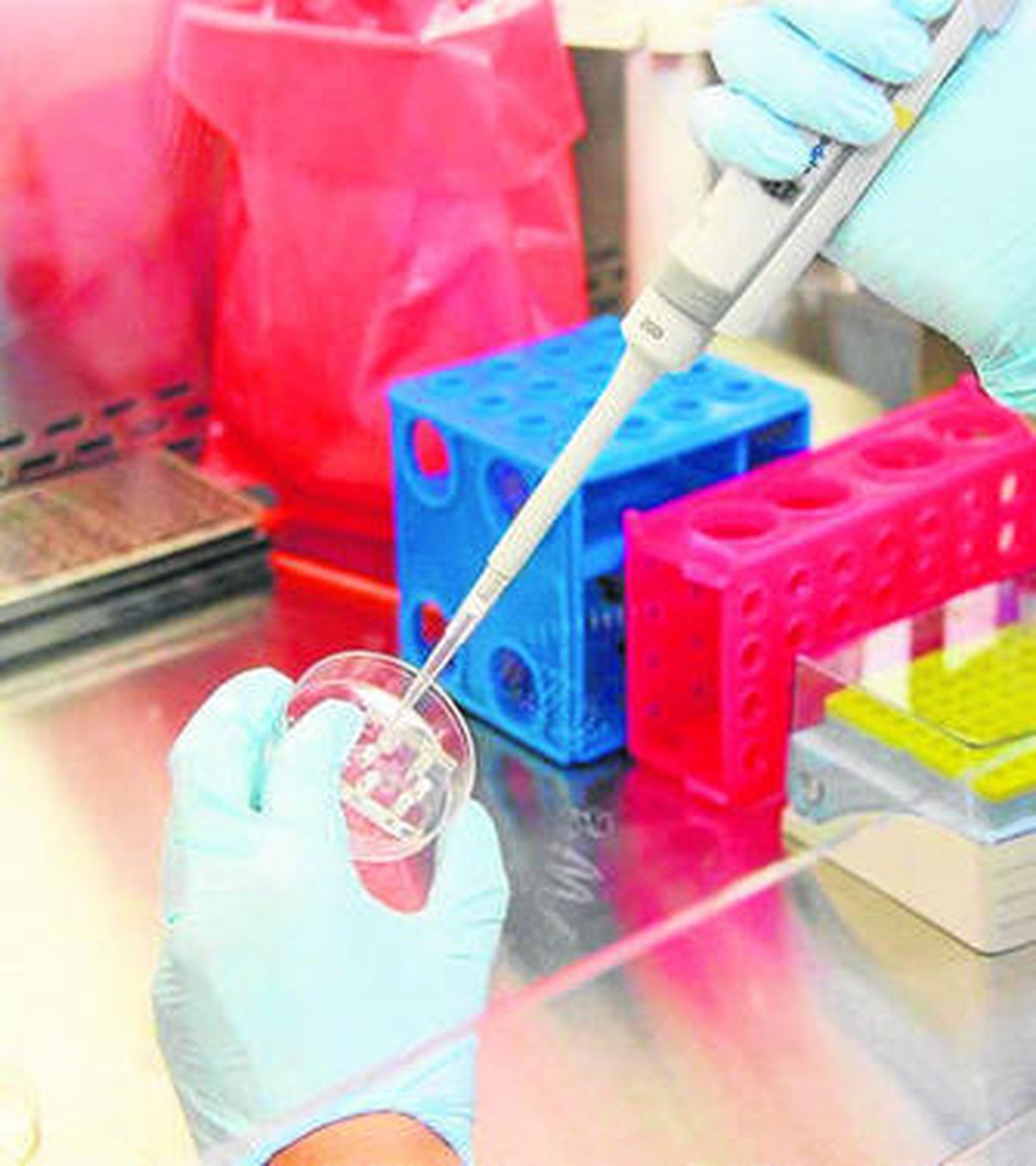 El estudio ha sido realizado en modelos de ratón con la enfermedad.