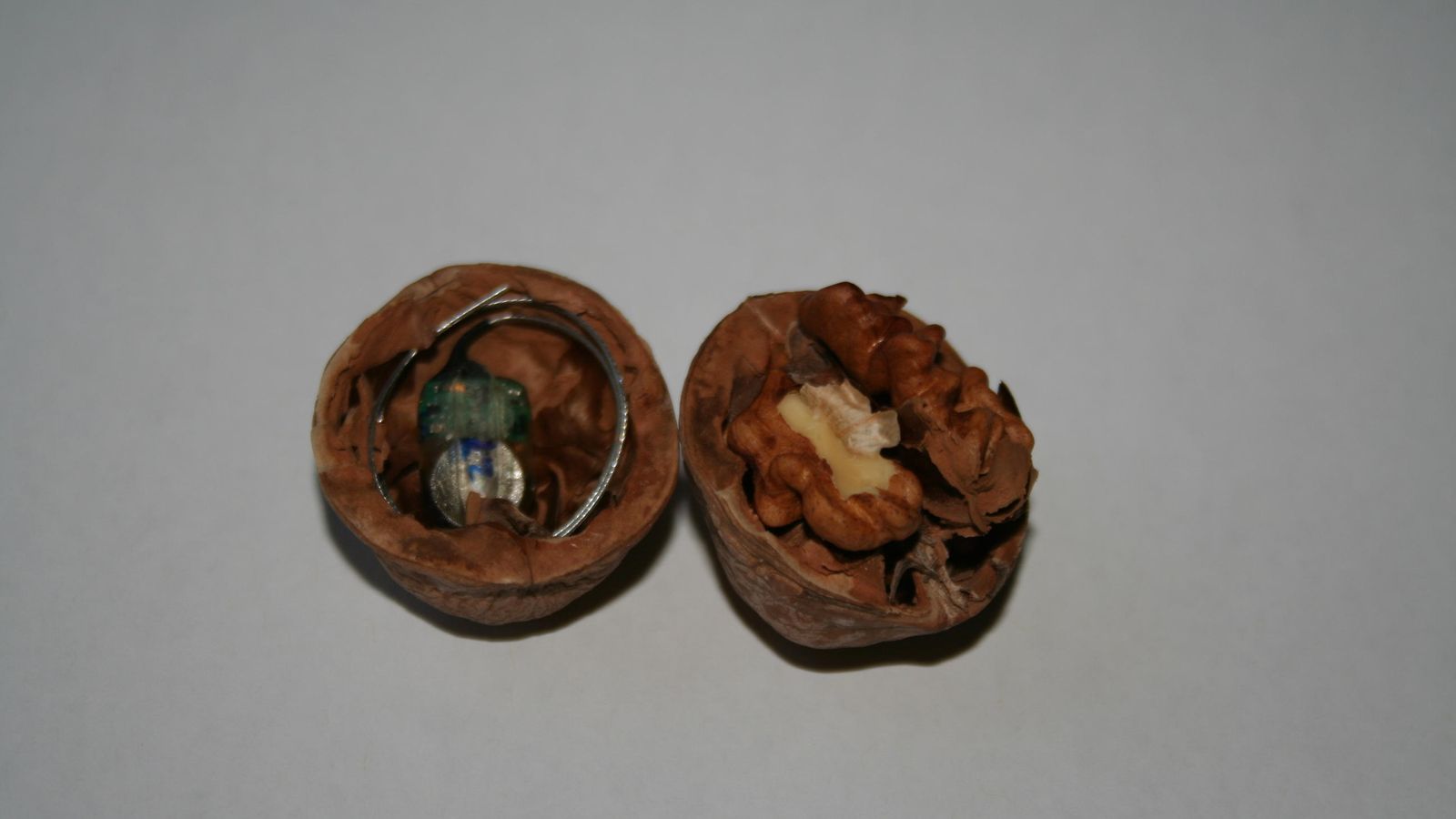 Nueces del experimento.