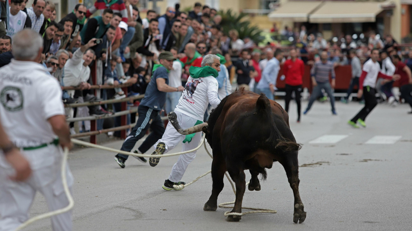 Imágenes del Toro Embolao de Los Barrios