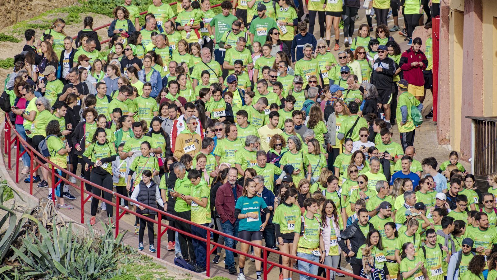 Búscate entre las fotos de la X carrera Cádiz en marcha contra el cáncer