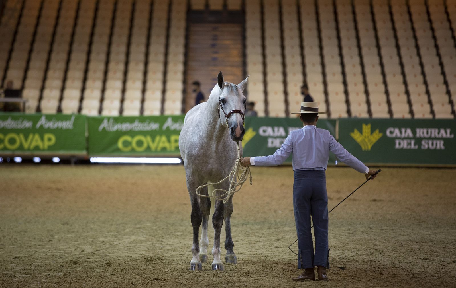 Imágenes de Sicab 2020 en la reanudación de las pruebas en Fibes