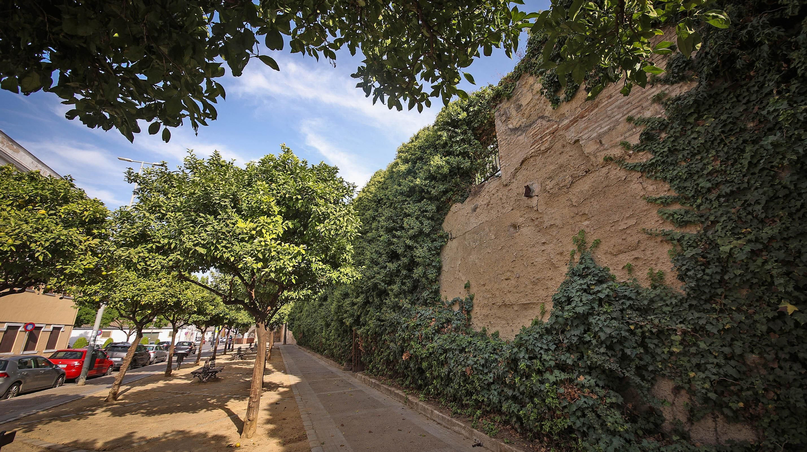 Así está la muralla en calle Muro