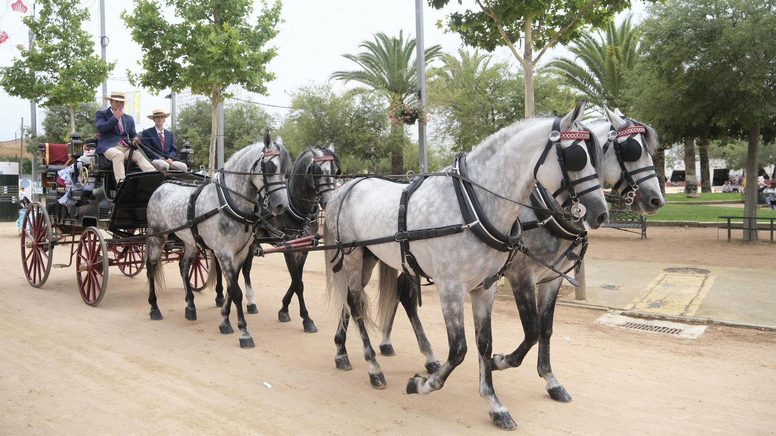 Las mejores imágenes del domingo de Feria de Córdoba 2023