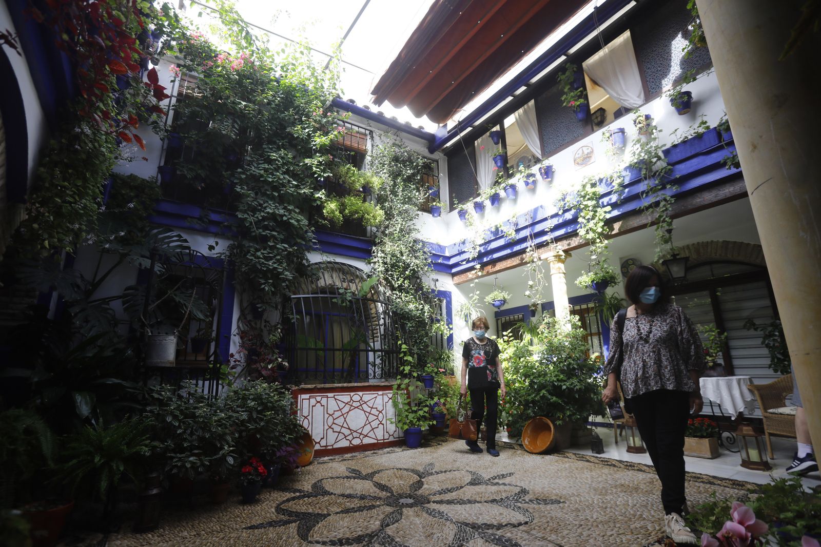 Un recorrido en fotografías por los Patios de Córdoba un domingo de otoño