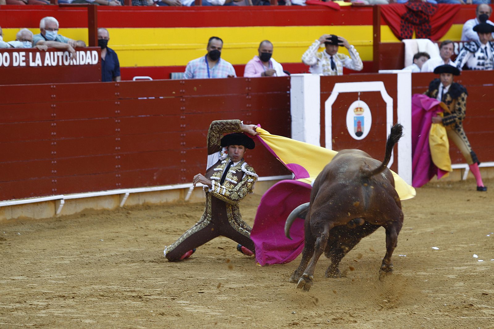 Fotogalería corrida de toros. Cayetano Rivera, Paco Ureña y Roca Rey. Roquetas de Mar.