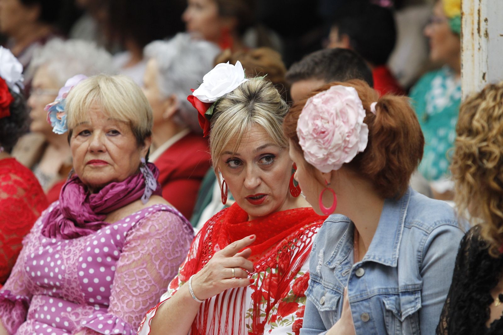 Fotogalería Carreras de cintas. Fiestas Huércal de Almería