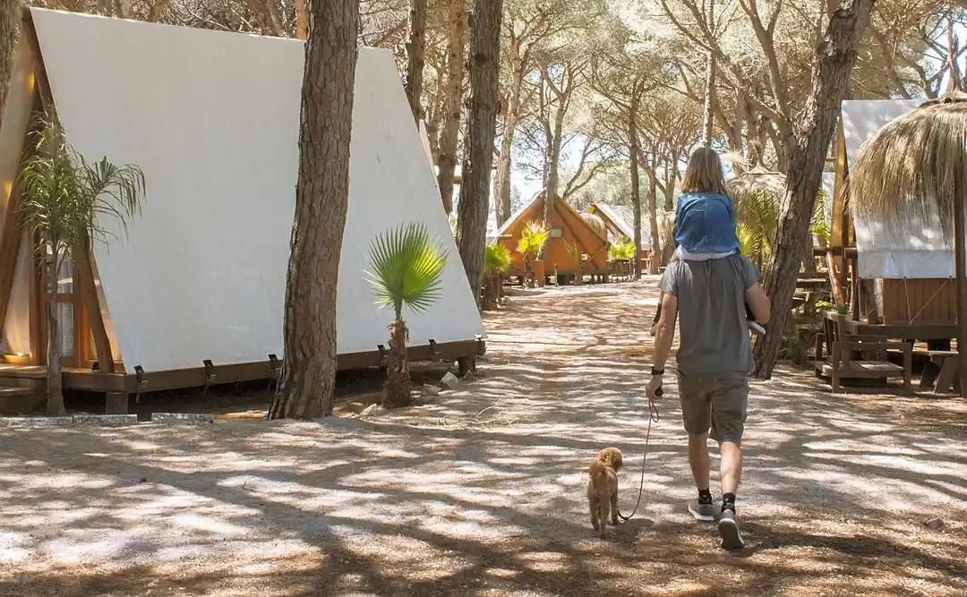 Un camping ‘petfriendly’ en Conil para que no renuncies a disfrutar de un destino de ensueño en la naturaleza con tu mascota