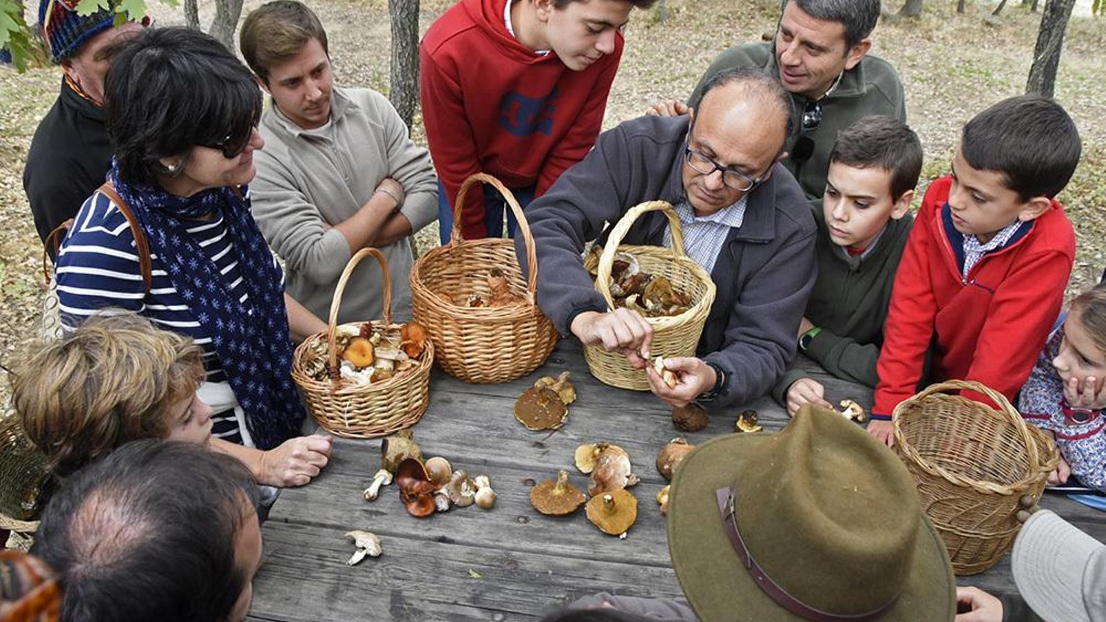 Una clase práctica sobre setas el terreno
