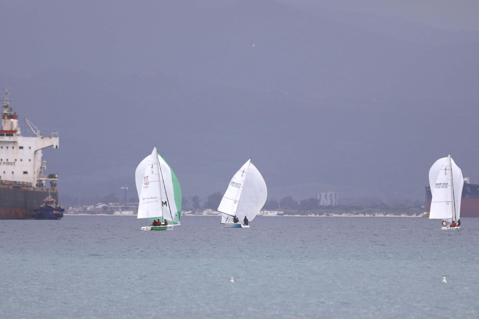 Las fotos de la primera jornada del Campeonato de Andalucía de vela J/80 en La Línea