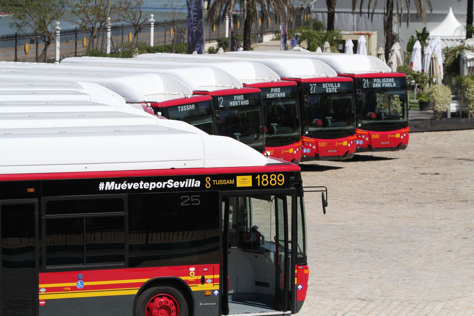 Los últimos autobuses adquiridos por Tussam, en el Muelle de las Delicias.