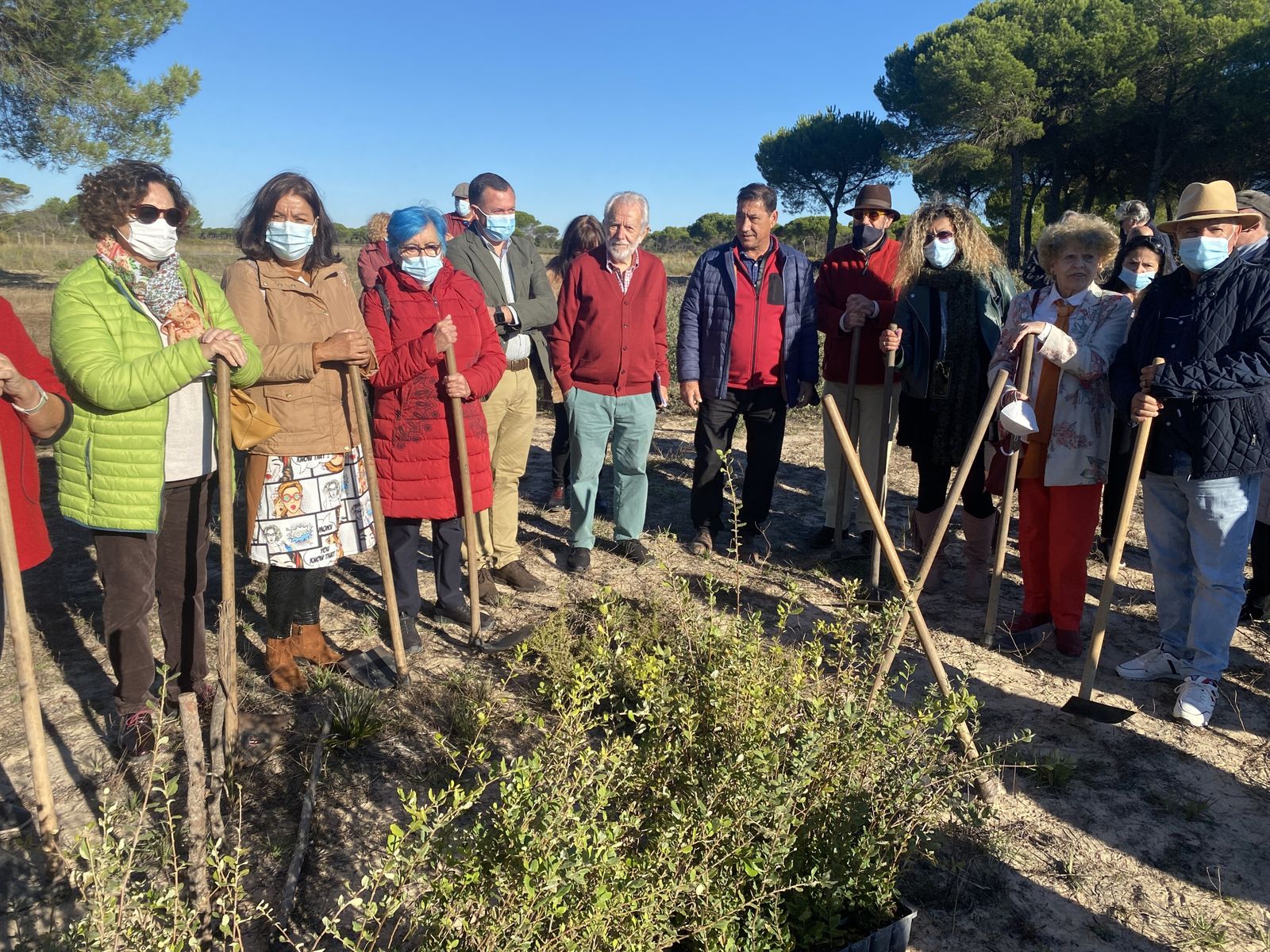Plantación en la zona de Las Peñuelas.