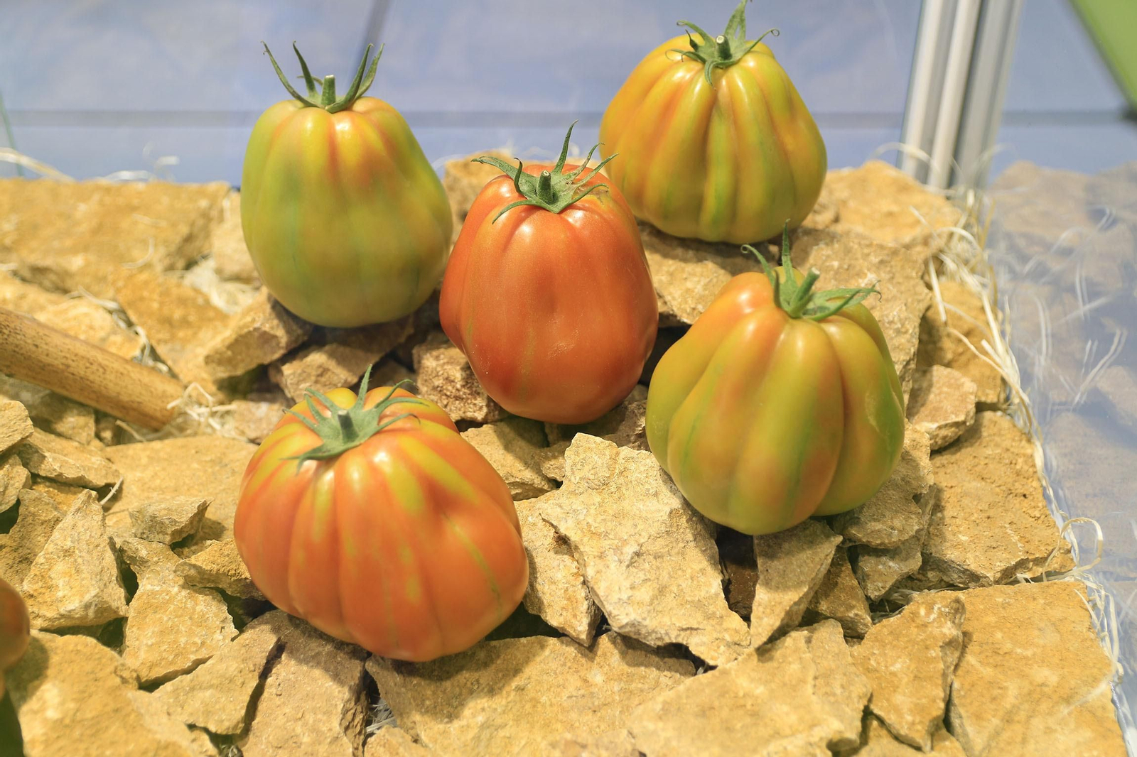 Inauguración de la Infoagro Exhibition 2023