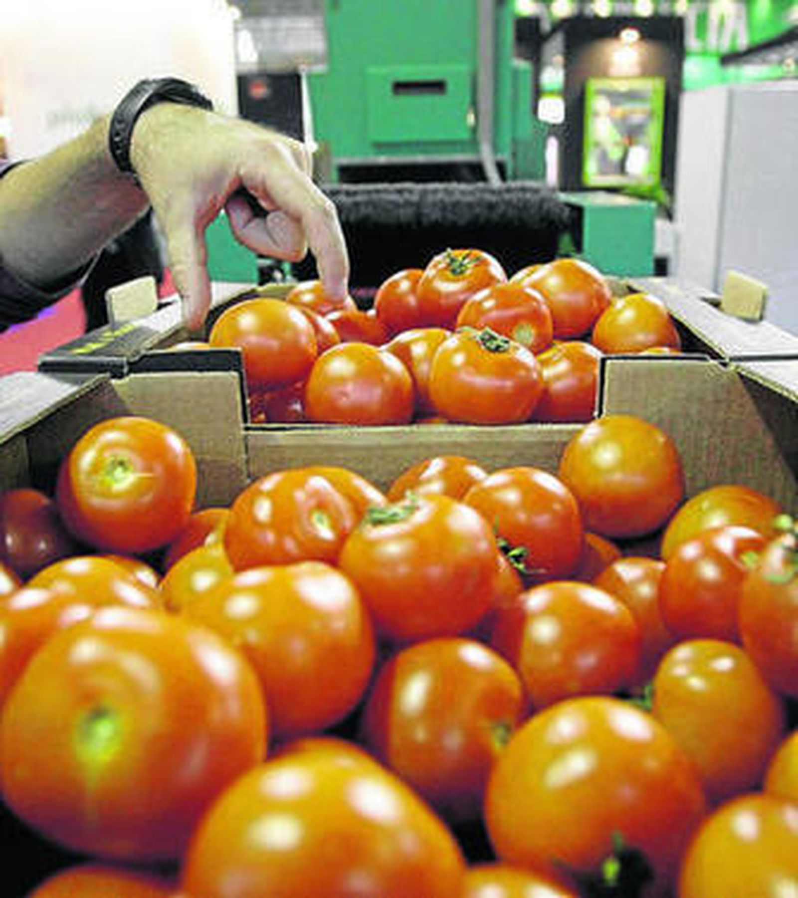 Los tomates siempre han demostrado sus propiedades saludables.