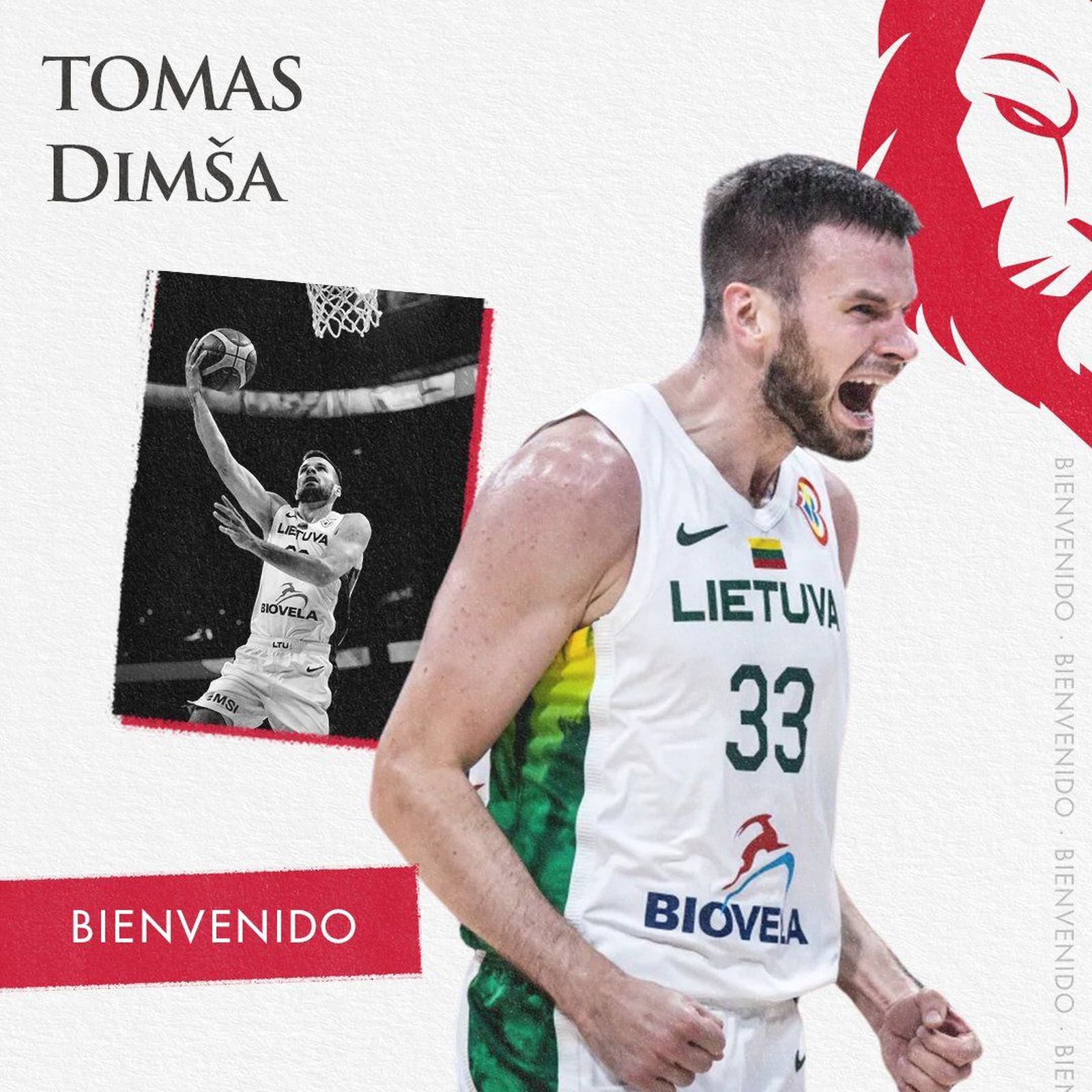 Dimsa llega a Zaragoza.