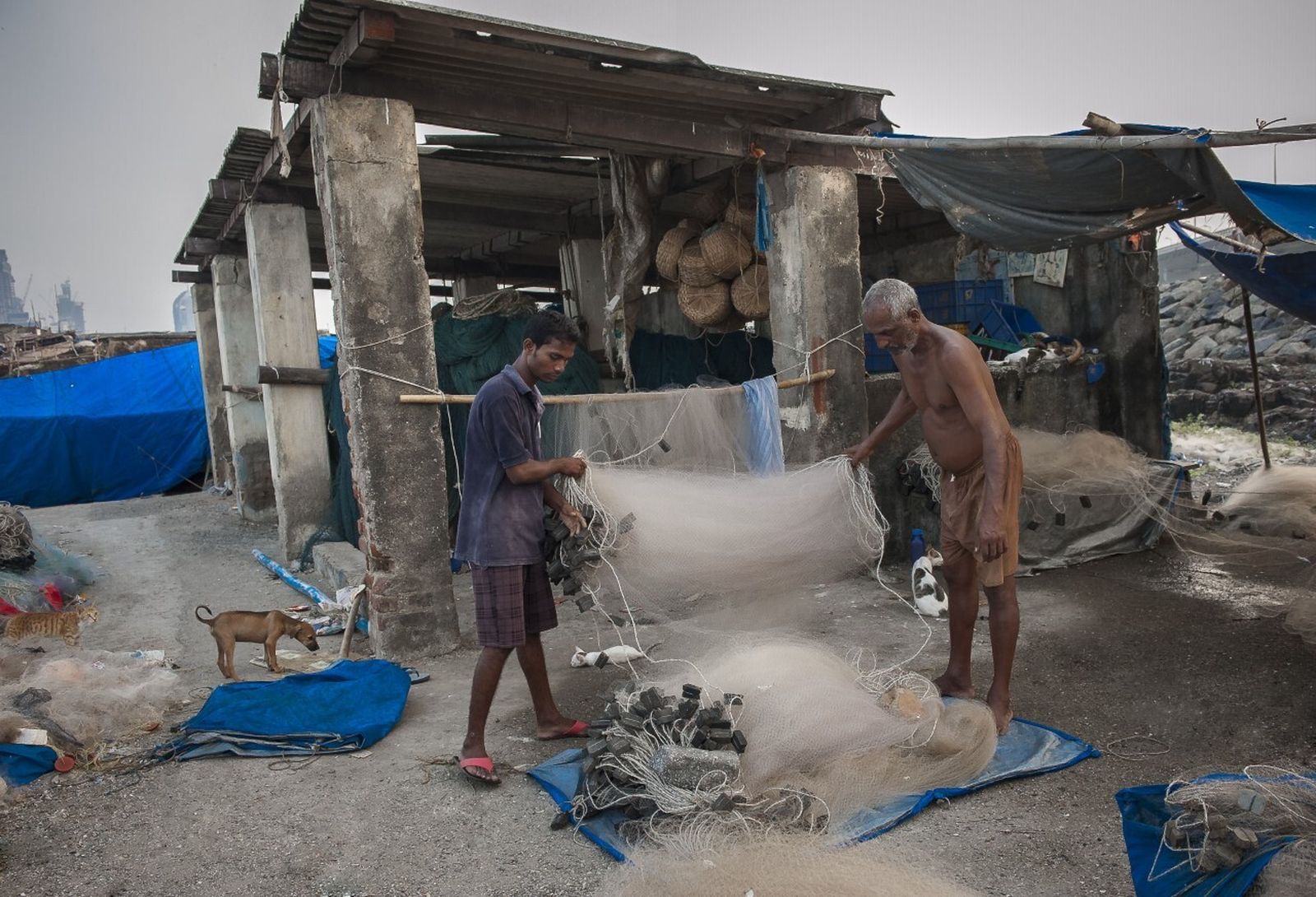 Una de las imágenes de Juan Salido