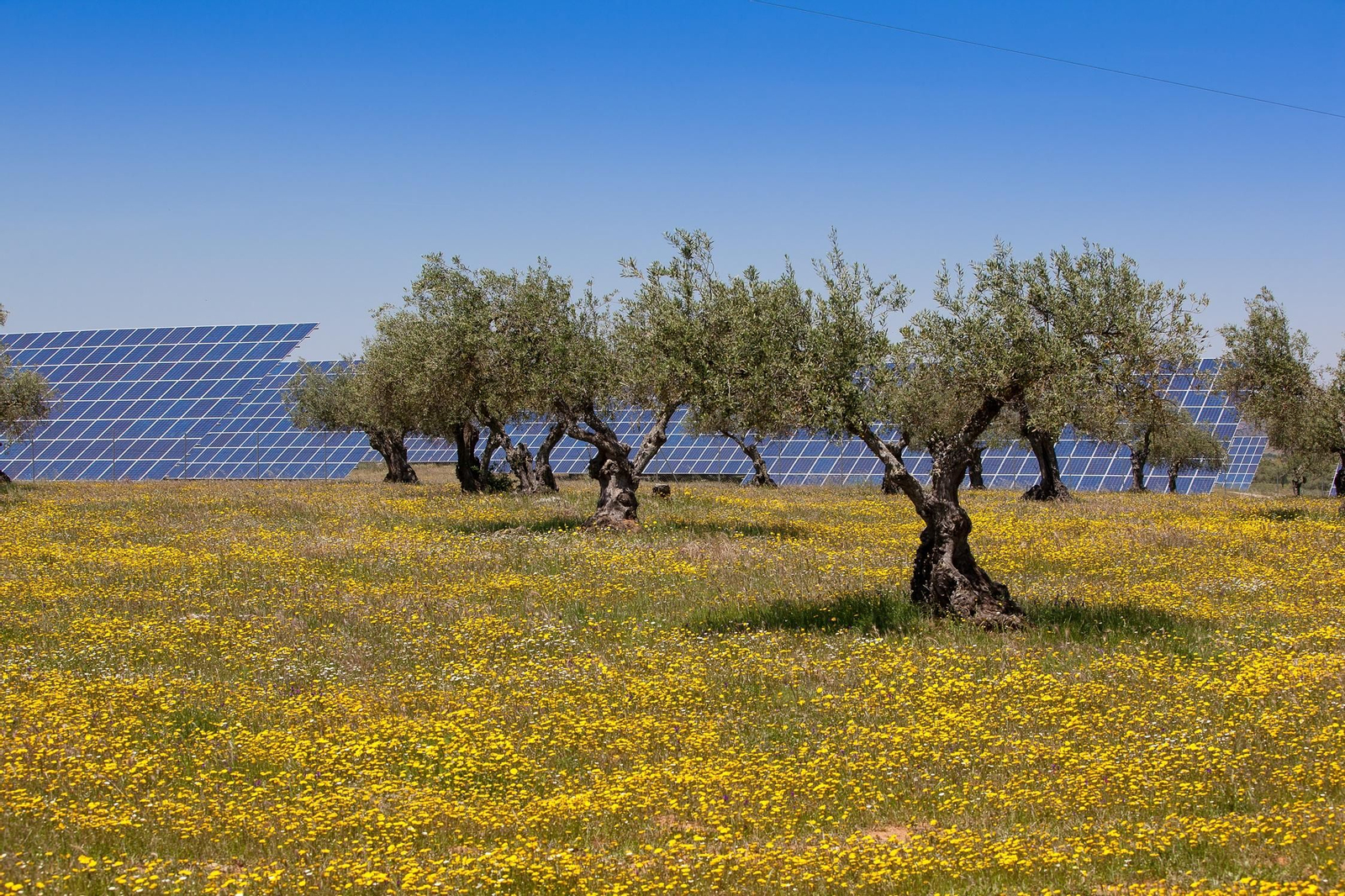 Detalle de paneles solares.