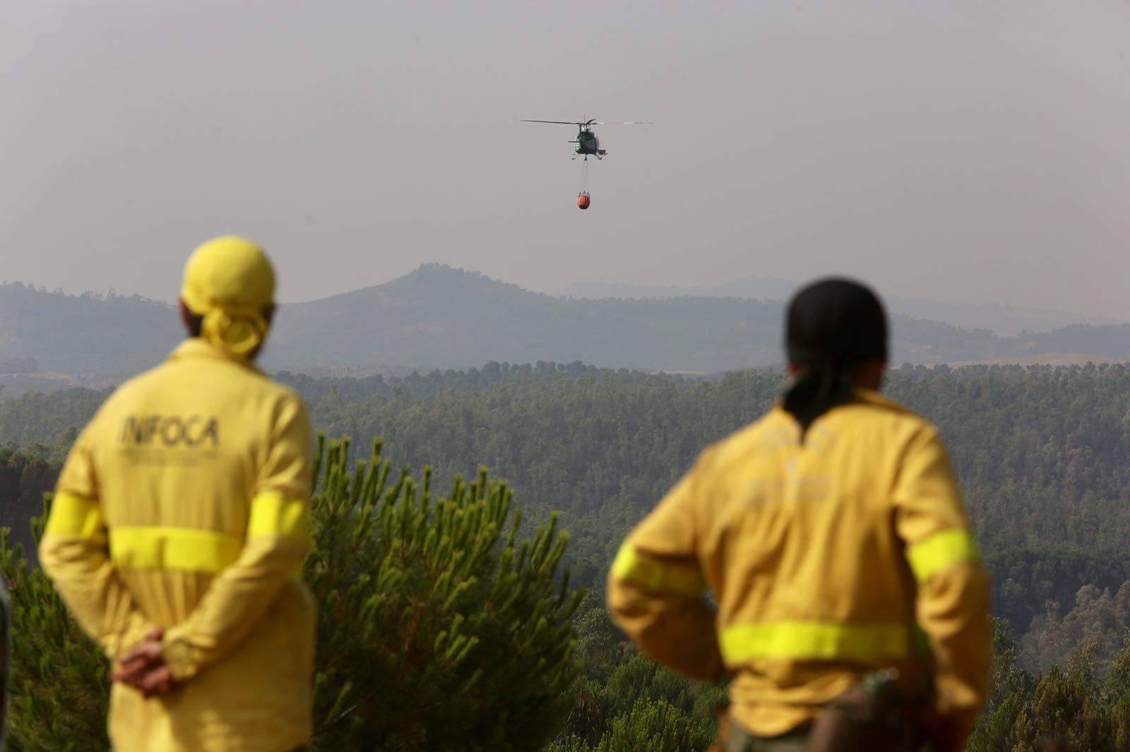 Los trabajos del Infoca en el incendio de Almonaster