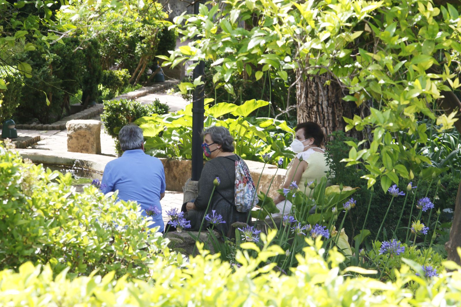 Las fotografías de la reapertura al público del Alcázar