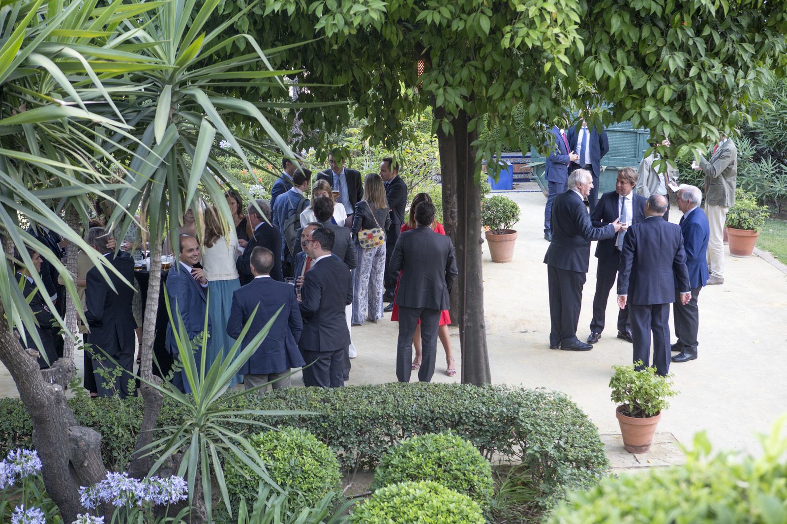 Las imágenes de la entrega de la Beca Manuel Olivencia