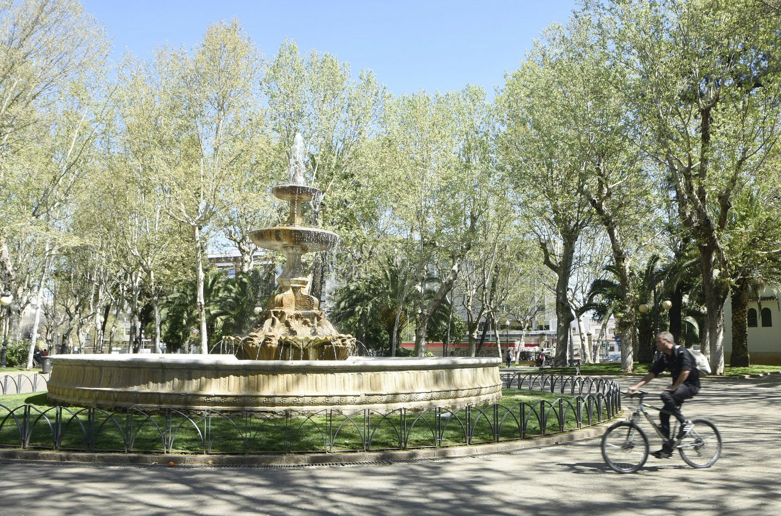 Un ciclista pasea por los jardines de Colón.