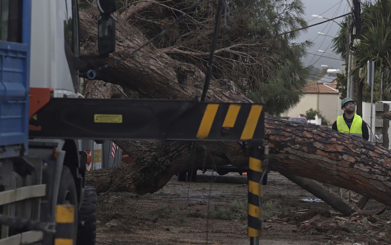 24 horas sin electricidad en la urbanización Los Pinos por árboles caídos tras la borrasca Kristin, en imágenes