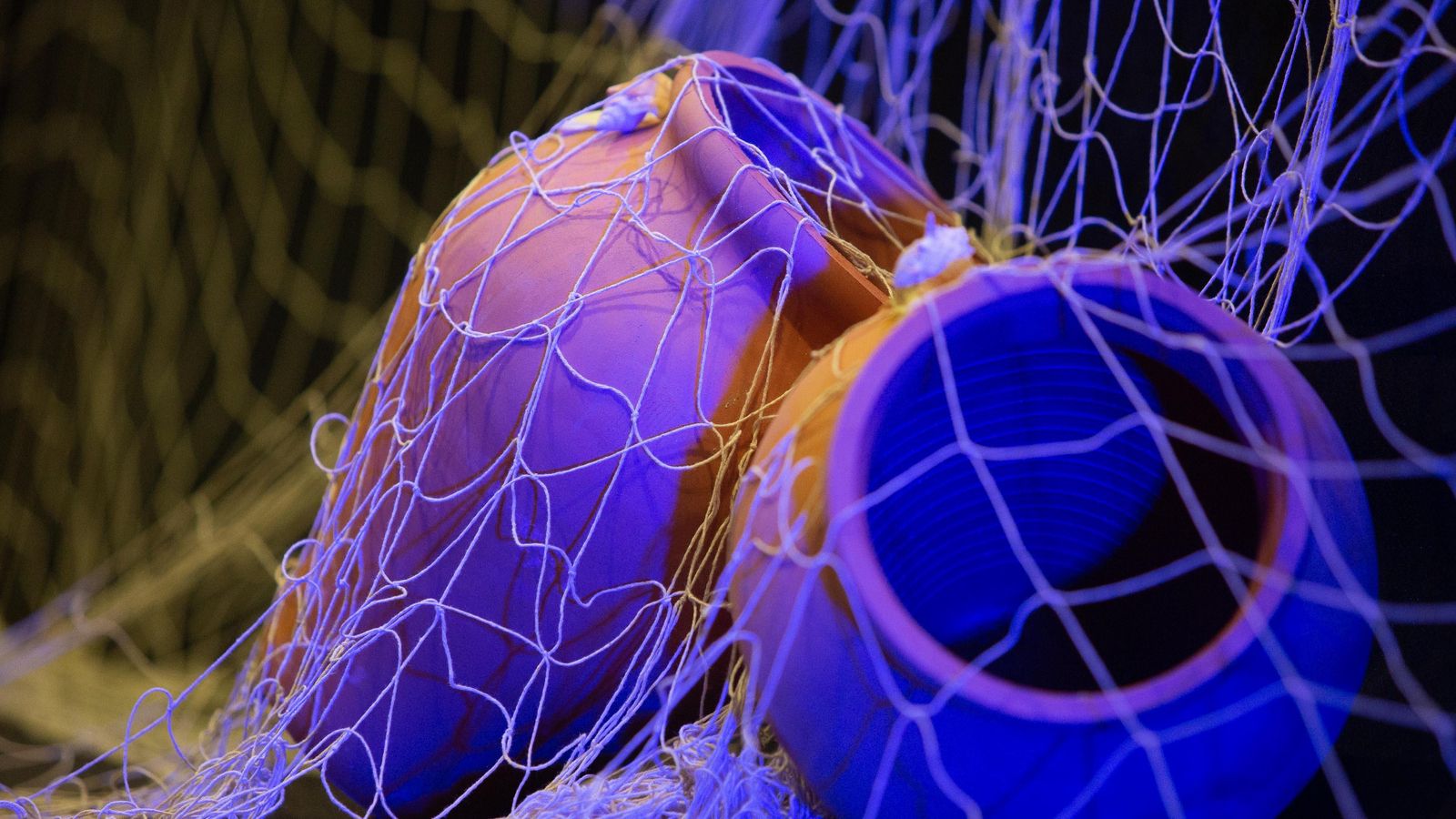 Foro de Turismo Marinero