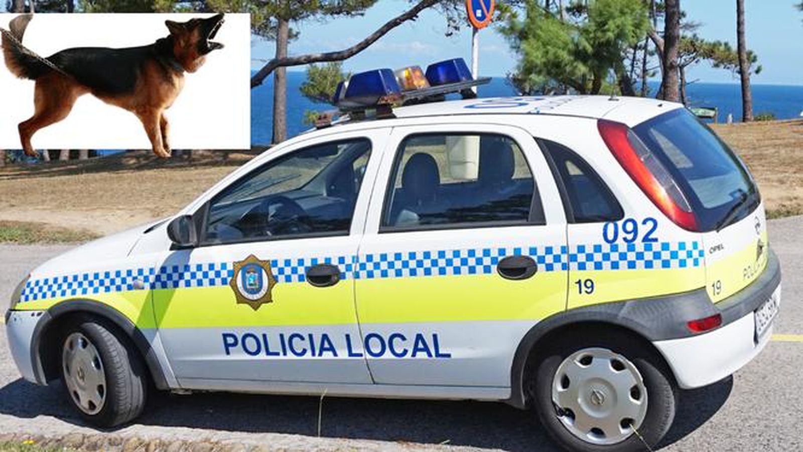 Detienen a un chico que incitó a su perro, un pastor belga Malinois, para que mordiera a un indigente