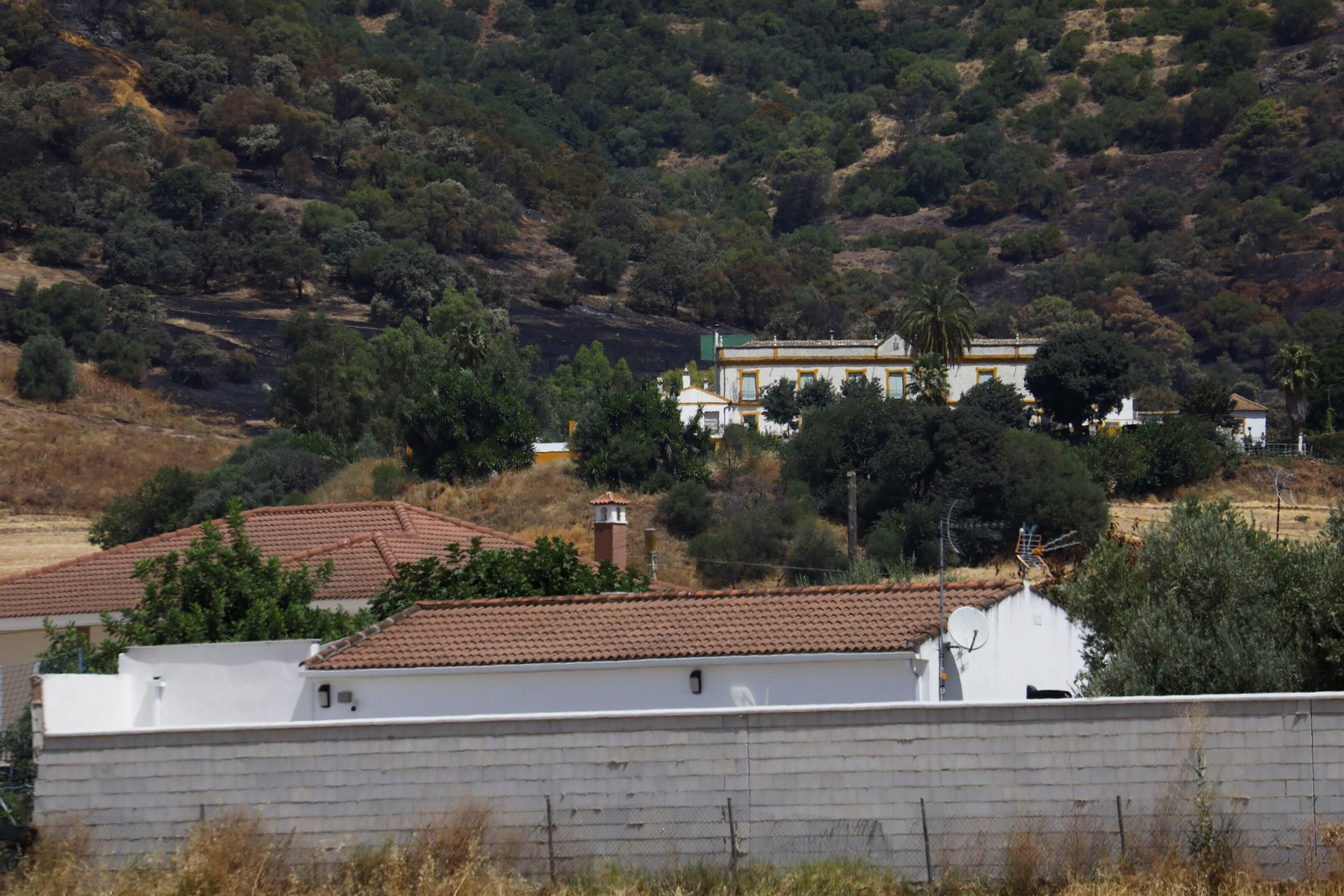 Zona cero del incendio de la Sierra de Córdoba