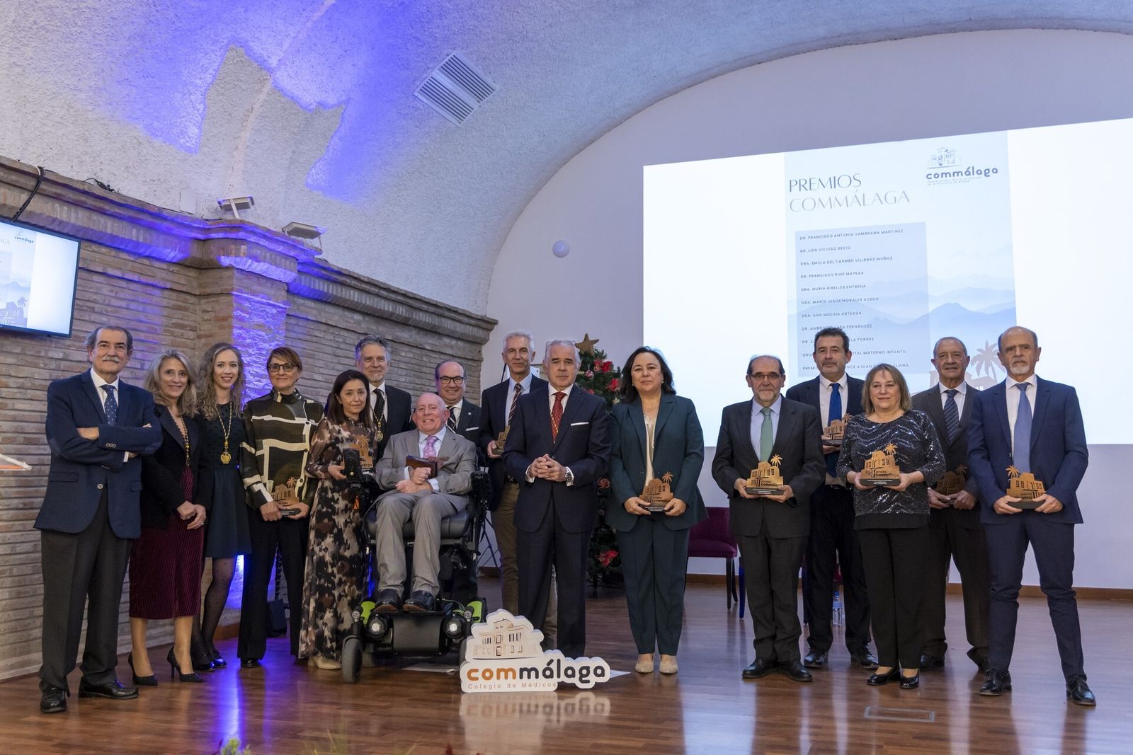Los premiados por el Colegio de Médicos de Málaga, junto a directivos de la institución.