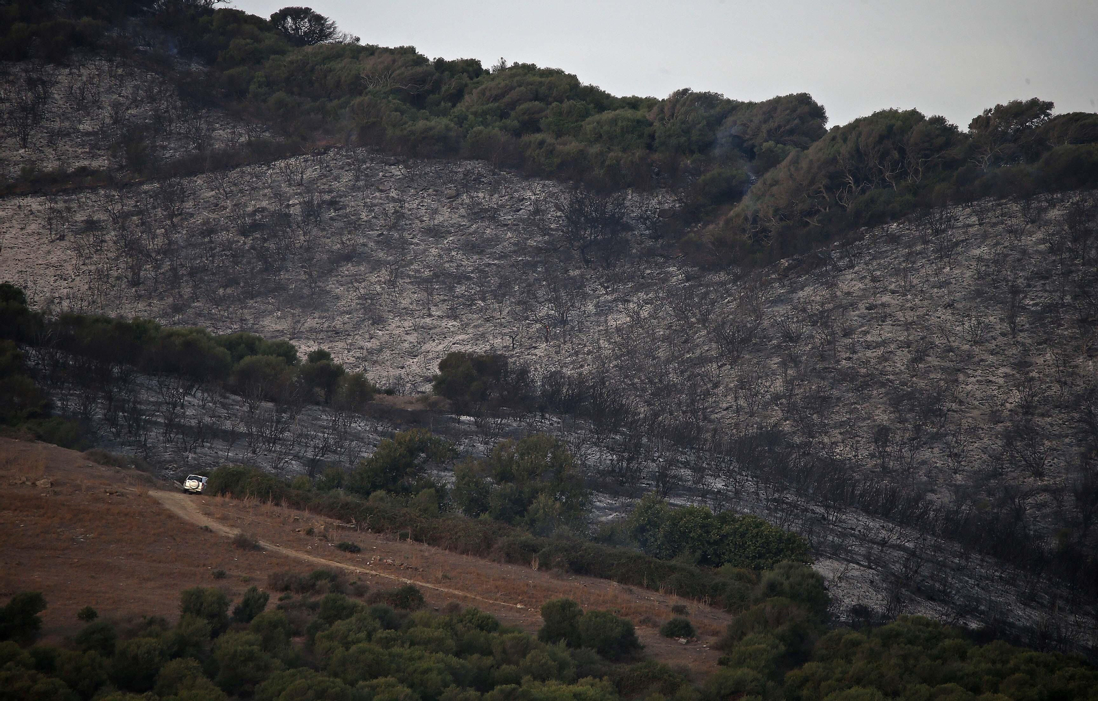 El incendio forestal  de Algeciras, en imágenes